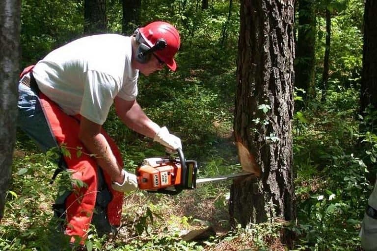 Best Ear Defenders for Using a Chainsaw Ear Defender